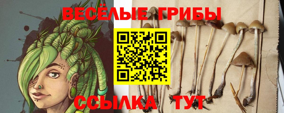 Медногорск  где найти наркотики  Вход с VPN  Псилоцибиновые грибы MAGIC MUSHROOMS 